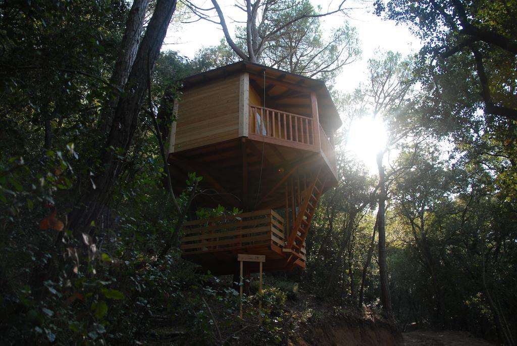Cabanes Dosrius Canyamás Exterior photo