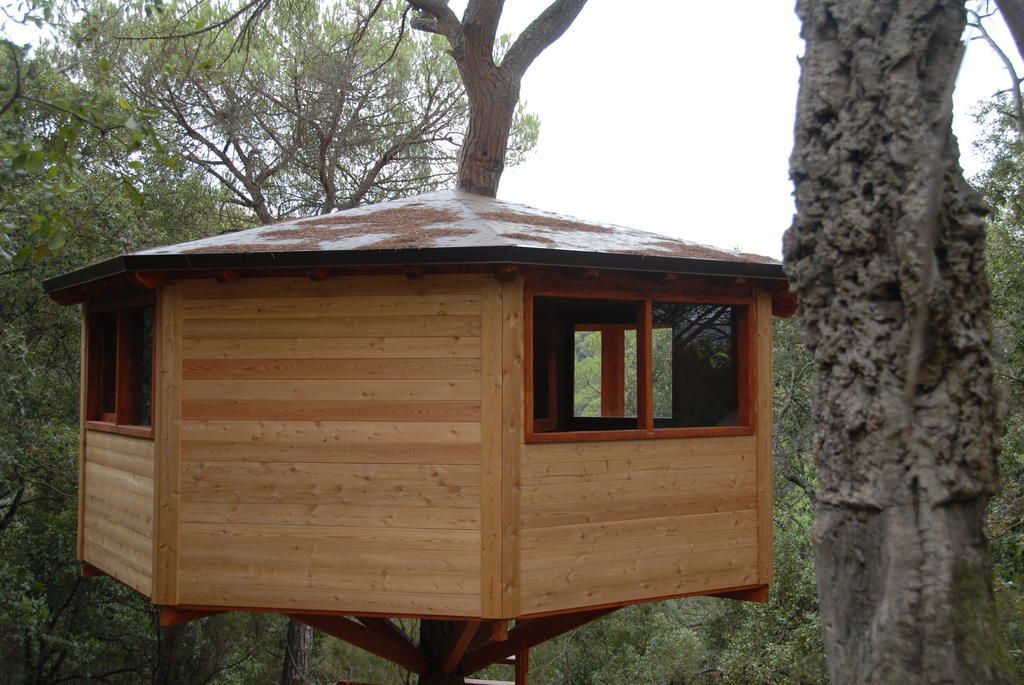 Cabanes Dosrius Canyamás Room photo