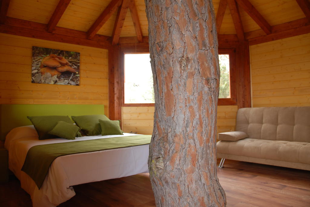 Cabanes Dosrius Canyamás Room photo